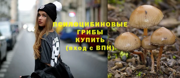 дмт Алексин